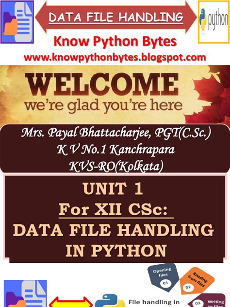 Image result for 20 Python Programs for Class 12 for Program File Series and Data Frame with Output