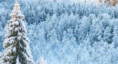 Image result for HTML Div Transparent Background