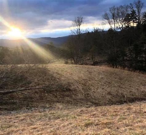 WVTA Fur Sale, Gilmer County Recreation Center, Glenville, February 29 ...