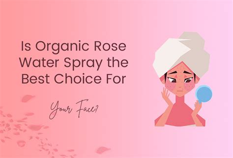 Is Organic Rose Water Spray the Best Choice For Your Face?