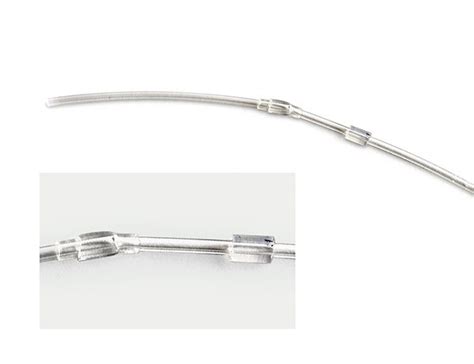 Image result for Mouse Intraperitoneal Space