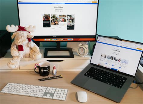 Images Search Engine 的图像结果