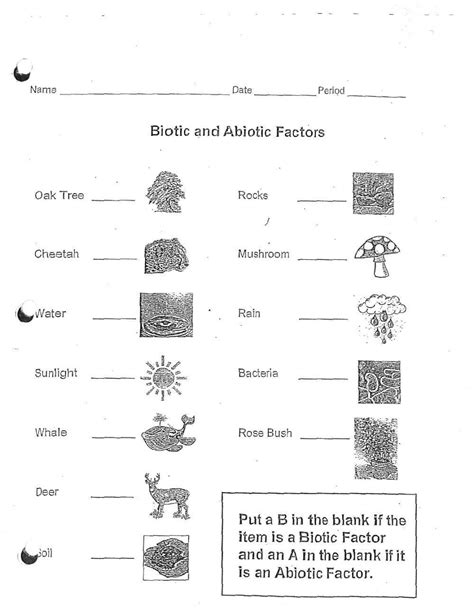 Image result for Biotic Sampling Methods Worksheet