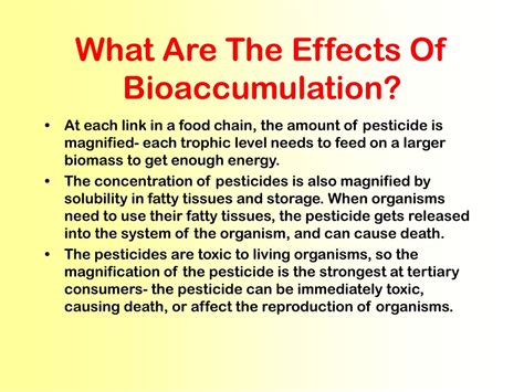 PPT - BIOACCUMULATION PowerPoint Presentation, free download - ID:181796