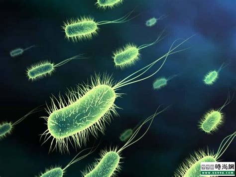 病原微生物和细菌什么关系，传播途径有哪些？ - 知乎
