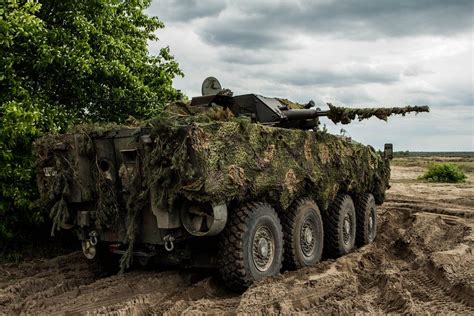 Bildergebnis für kto rosomak