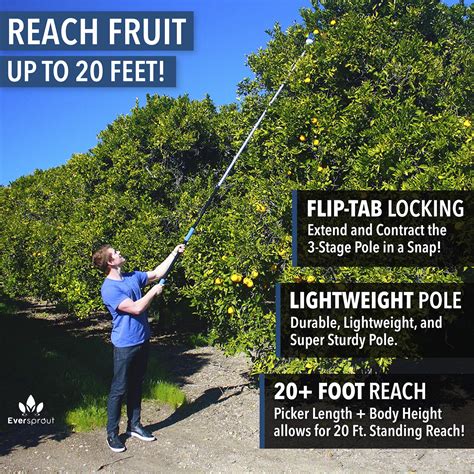 Buy EVERSPROUT 13-Foot Fruit Picker (20+ Foot Reach) | Telescoping ...