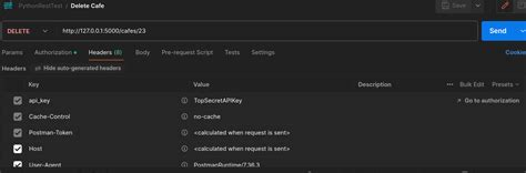 Header API Key Flask 的图像结果