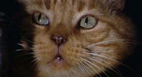 Image result for Alien 1979 Jones Y Scene