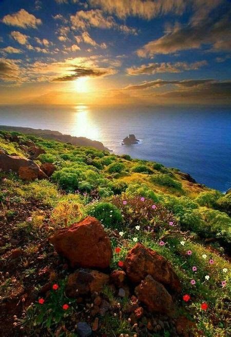 Belle Nature 的图像结果