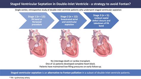 Staged Ventricular Septation in Double-Inlet Ventricle - A Strategy to Avoid Fontan? - Seminars ...