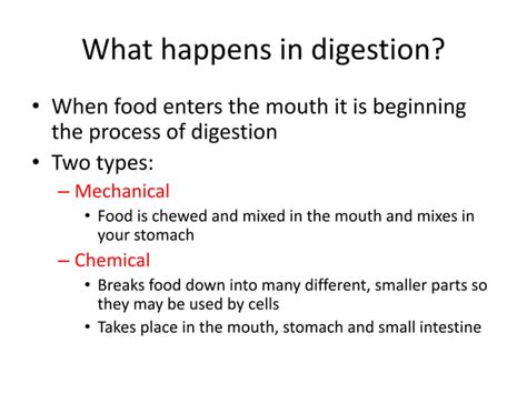 Digestion Process Explained 的图像结果