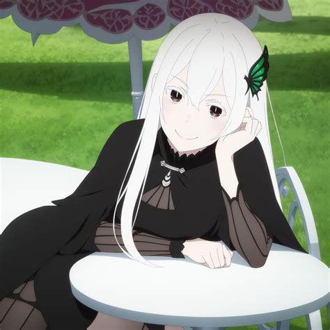 Pin on Echidna Re Zero