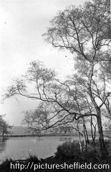 Searching Picture Sheffield