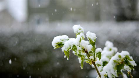 Schenectady, NY Weather Forecast, Conditions, and Maps – Yahoo Weather