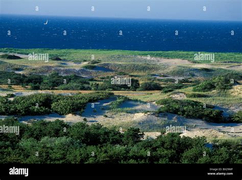 Cape Cod Beach 的图像结果