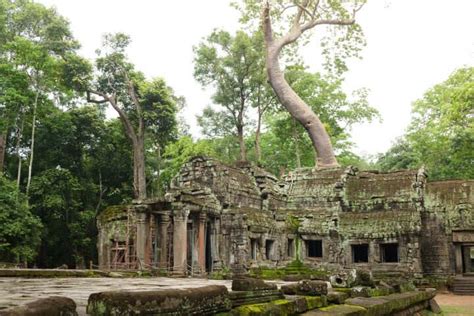 Why The Ta Prohm Temple In Cambodia Is Being Swallowed By Giant Trees ...