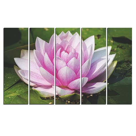 WENS Pink Water Lily 5 Panels Velvet Laminated Wall Art for Home Decor ...