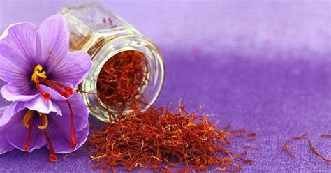 Saffron Is Quickly Emerging As Herbal Alternative To Cure ADHD Among ...
