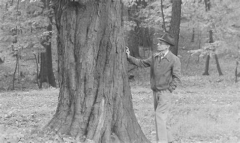 Legends of the Emerald Necklace, Trailside Program Center, Brecksville ...
