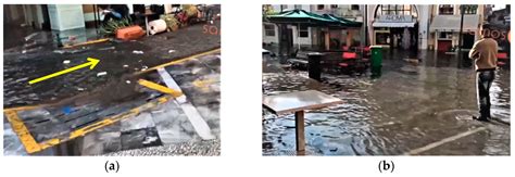 The Tsunami Caused by the 30 October 2020 Samos (Aegean Sea) Mw7.0 ...