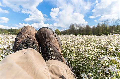 Very Happy Environment 的图像结果