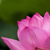 Fredeking Funeral Service Obituaries