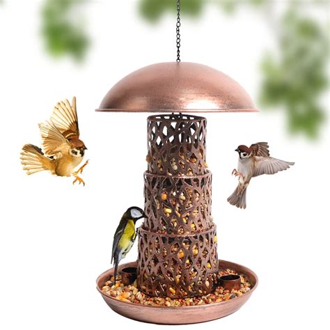 10 Best Unique Bird Feeders for Your Garden - Hummingbirds Plus
