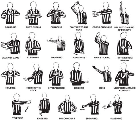 Usa volleyball referee hand signals - mensmundo