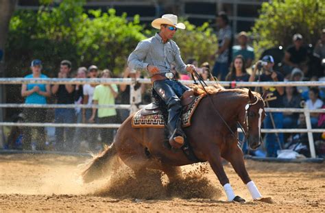 Reining Collection 的图像结果