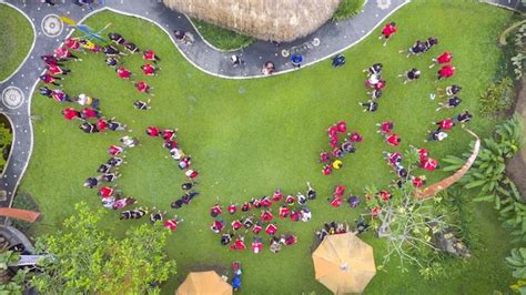 People Standing Viewing 的图像结果