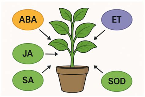 Molecular Breeding for Abiotic Stress Tolerance in Crops: Recent ...