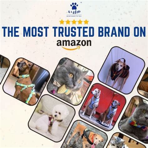 Best online store for Pet Products & Accessories - India | Aplusapets ...