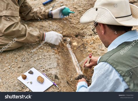 Paleontologists 的图像结果