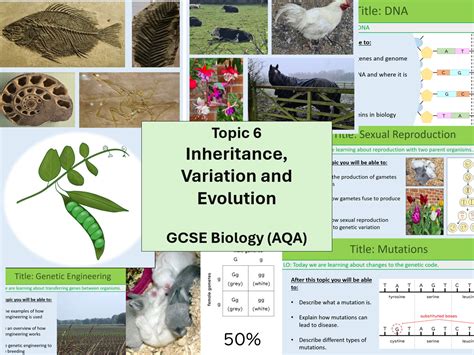 Image result for Inheritance Topic