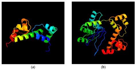 Does Salmonella diarizonae 58:r:z53 Isolated from a Mallard Duck Pose a ...