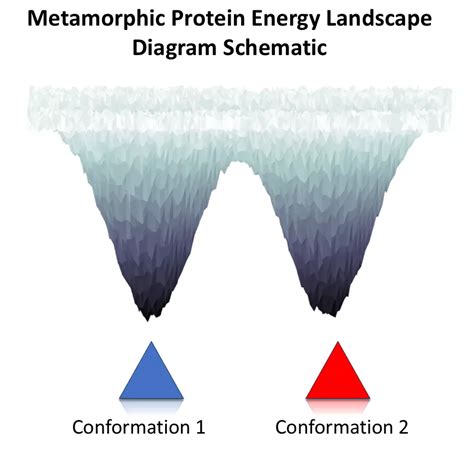 Morpheus - Fold-switching Protein Prediction