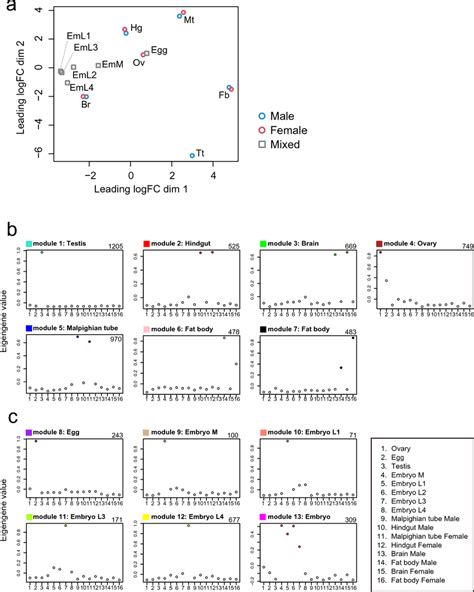Transcriptome Plot 的图像结果
