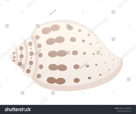 Shell 的图像结果