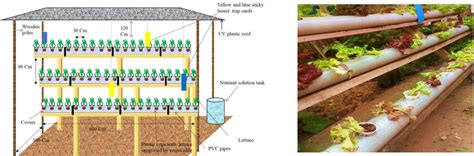 Image result for Hydroponic System Designs
