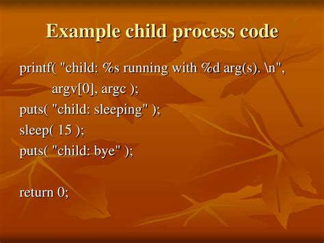 Orphan Process Example 的图像结果
