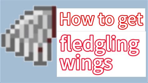 seed for fledgling wings in terraria 1.4.4.9.5 mobile - YouTube