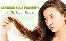 How Common Is Hair by Top 10 Common Hair Problems You Should About How Common Is Hair