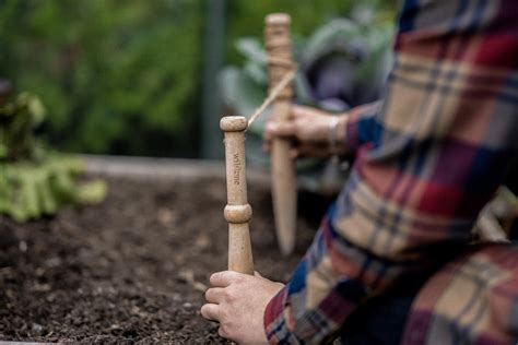 Image result for Using a String Line