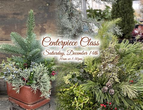Winter Centerpiece Class - Chesterfield Valley Nursery