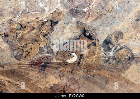 A worker at the Macro Fossil factory near Erfoud, Morocco Stock Photo ...