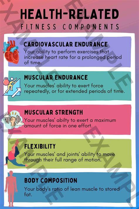 holistic health 5 components
