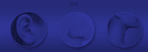 Image result for String ENT