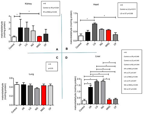 Efficiency of Calcium Fructoborate-Loaded Novel Natural Niosomes ...
