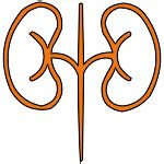 KD Hospital - Best Multispeciality Hospital in Ahmedabad